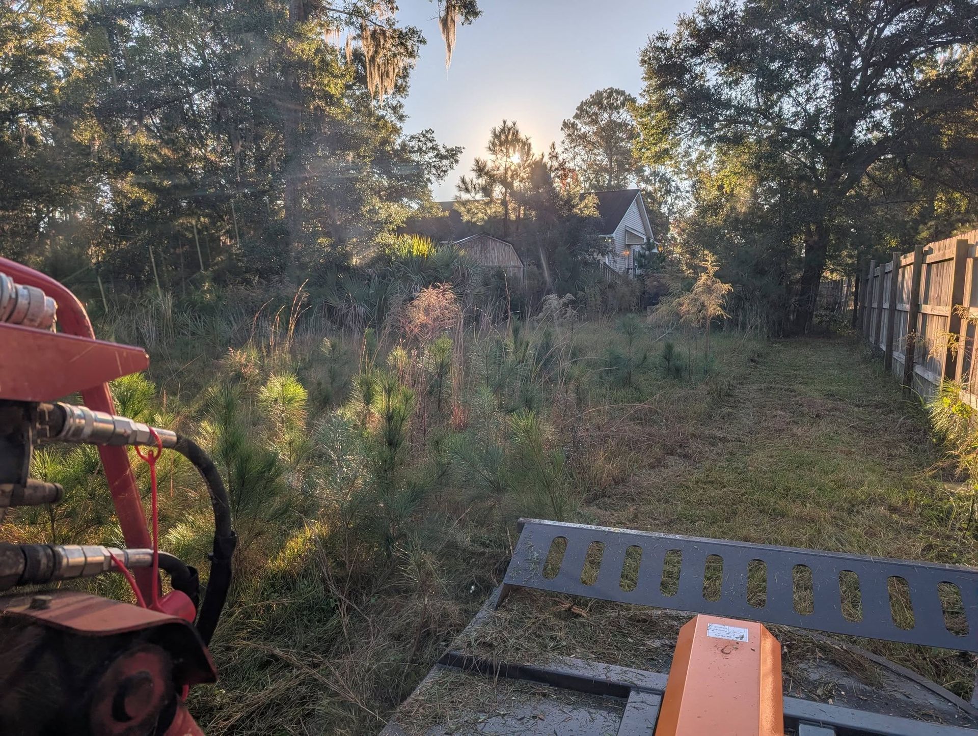 Overgrown backyard with a red tractor and orange mower under trees at sunset