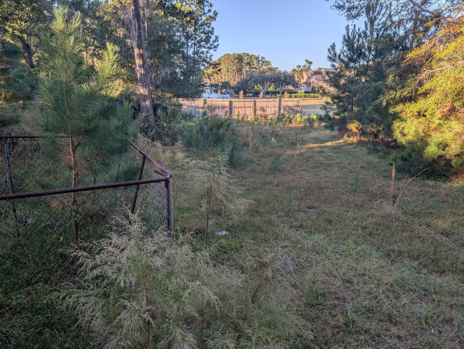 Overgrown grassy path between trees leading to a fenced field at sunset