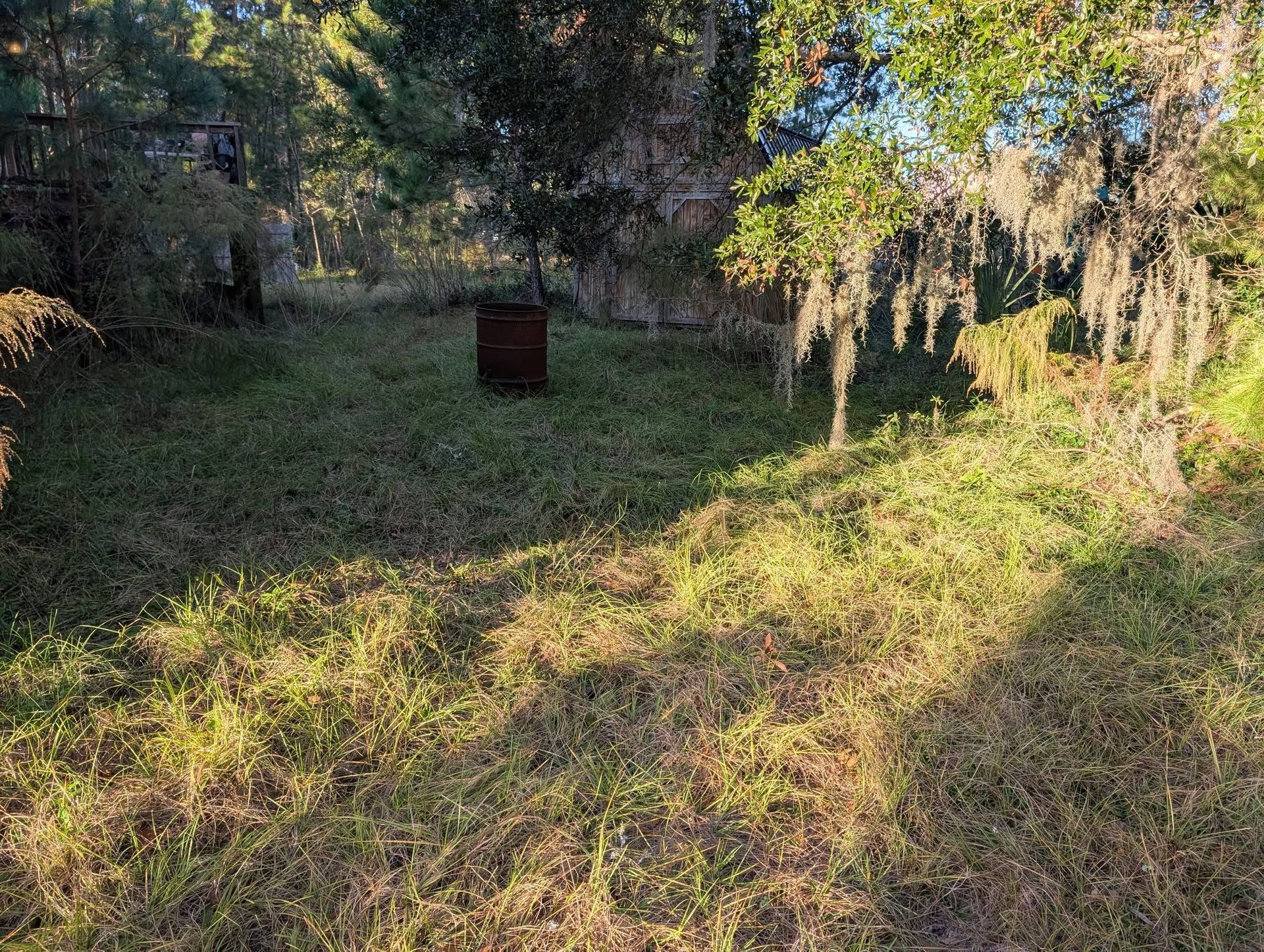 Grassy woodland clearing with a rusted barrel in the center and sunlight filtering through trees