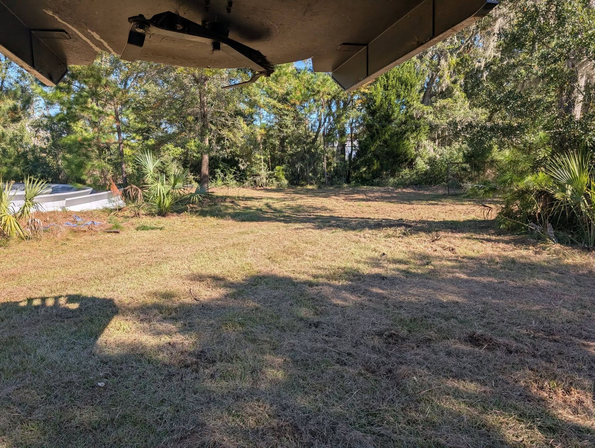 Shaded backyard with dry grass, trees, and a road at the left edge