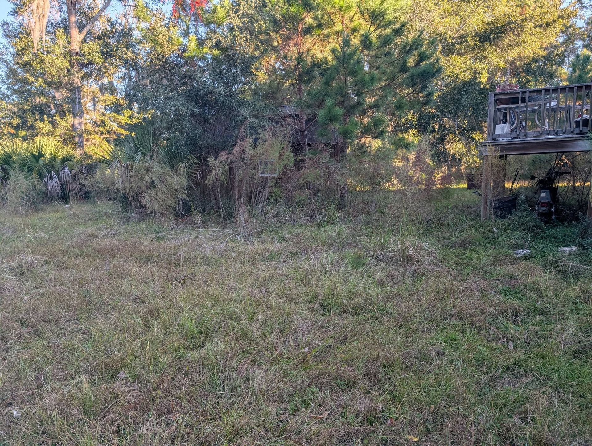 Grassy backyard with trees and brush, and a small wooden deck on the right.