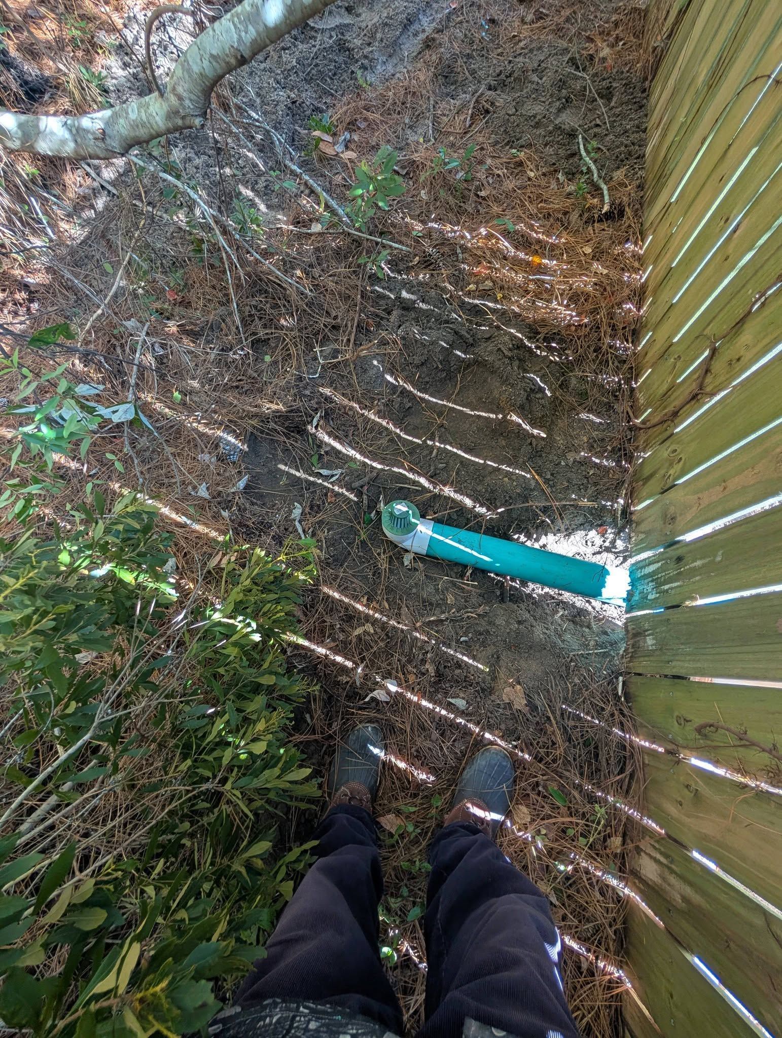 Looking down at a backyard path beside a fence, with a teal garden hose on the ground.