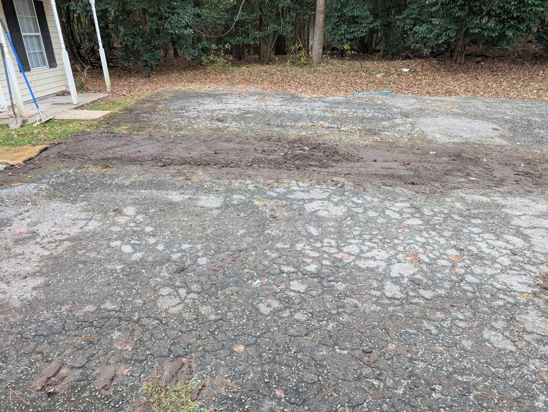 Gravel driveway beside a wooded area, with a small structure on the left.