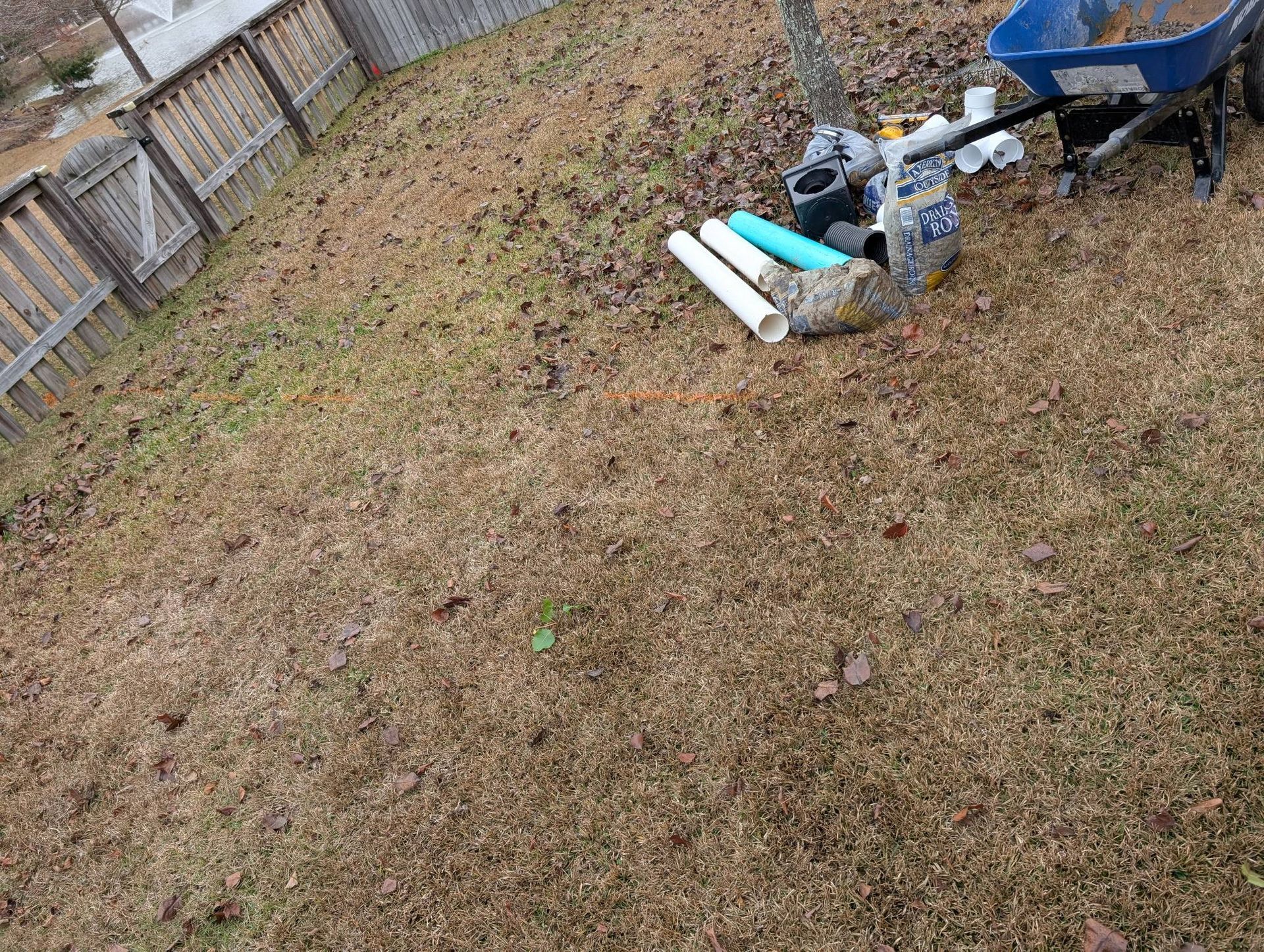 Backyard with brown grass, a white fence, and a blue wheelbarrow with garden tools.