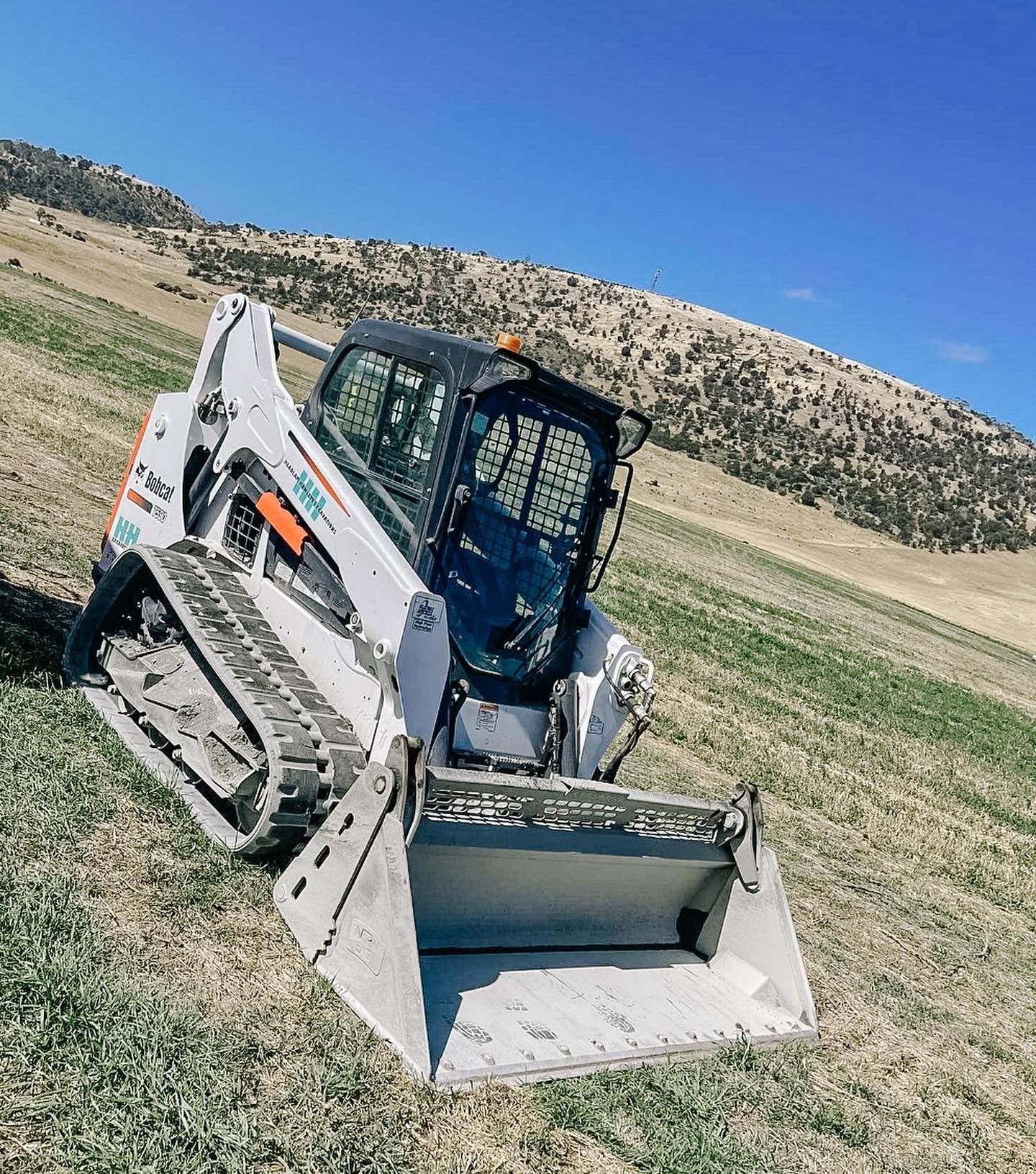 Bobcat
