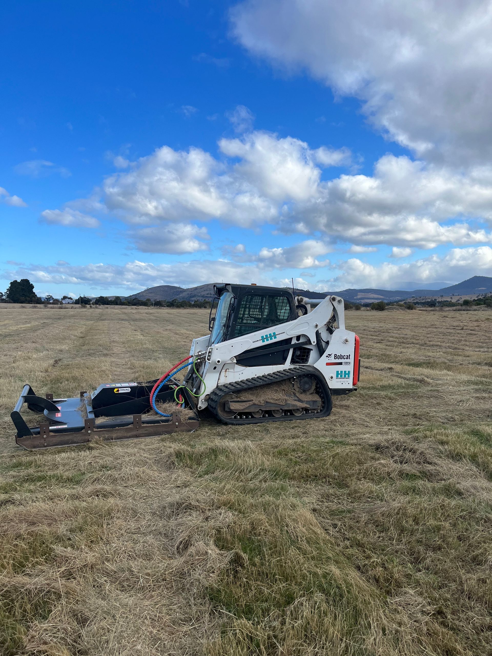 Bobcat Image 

