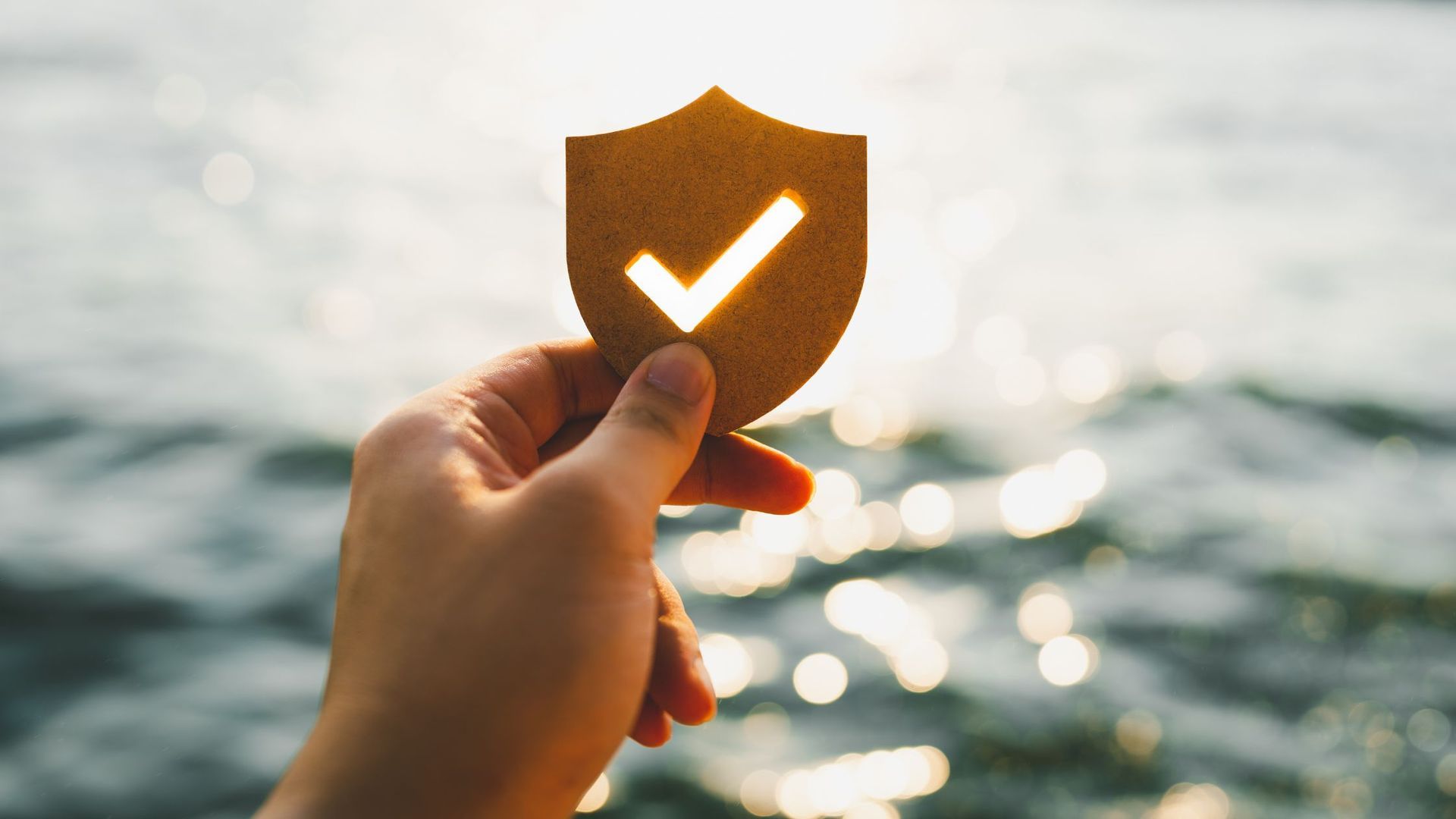 A person is holding a shield with a check mark on it.