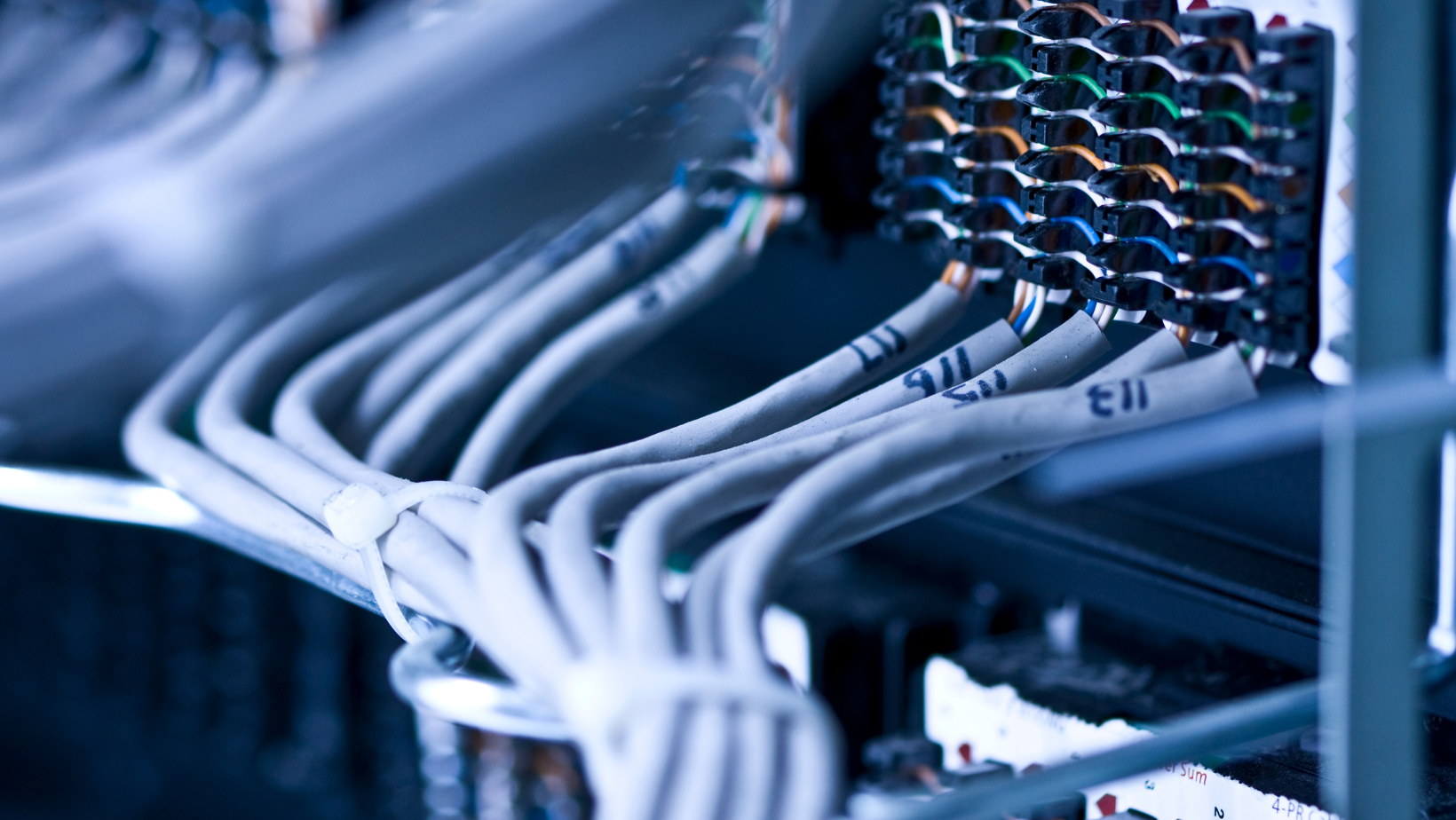 Close-up of network cables plugged into a server, with multiple gray cables visible.
