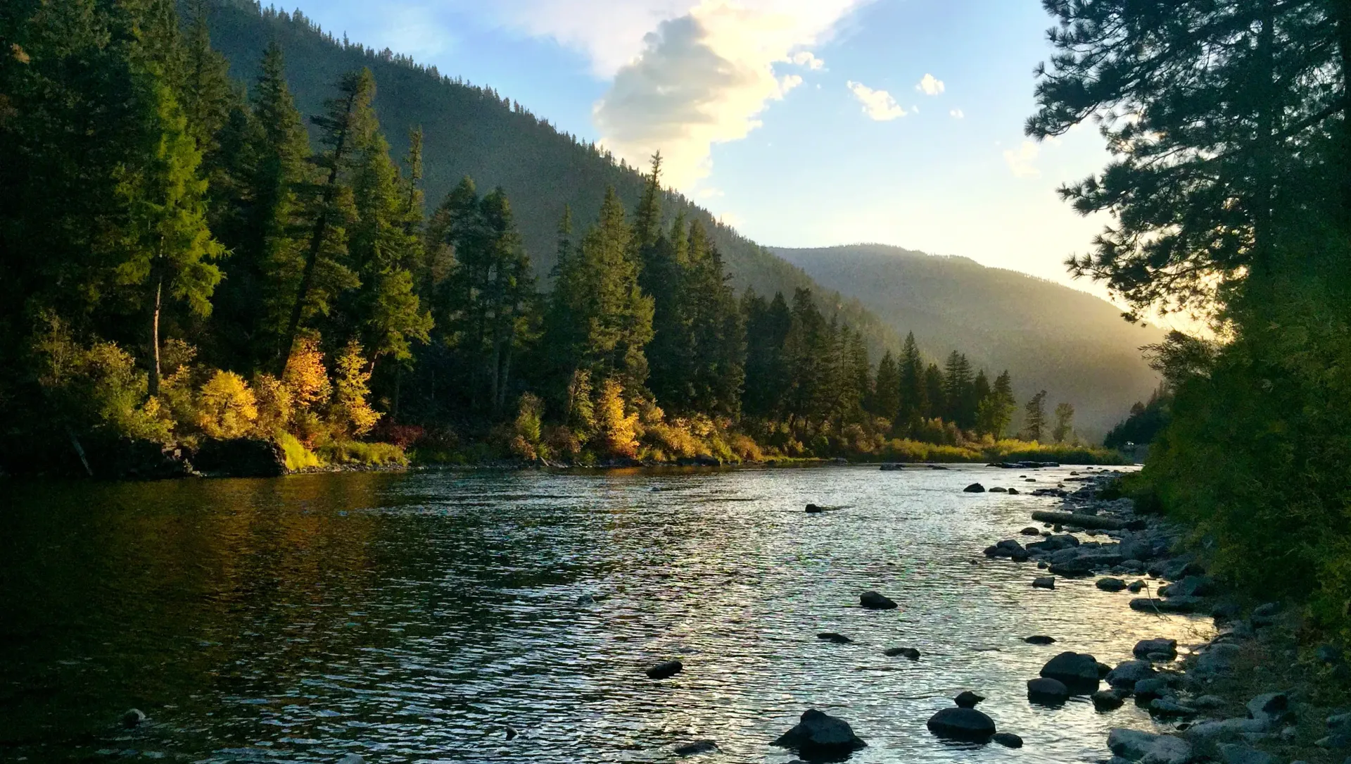 Montana Waters