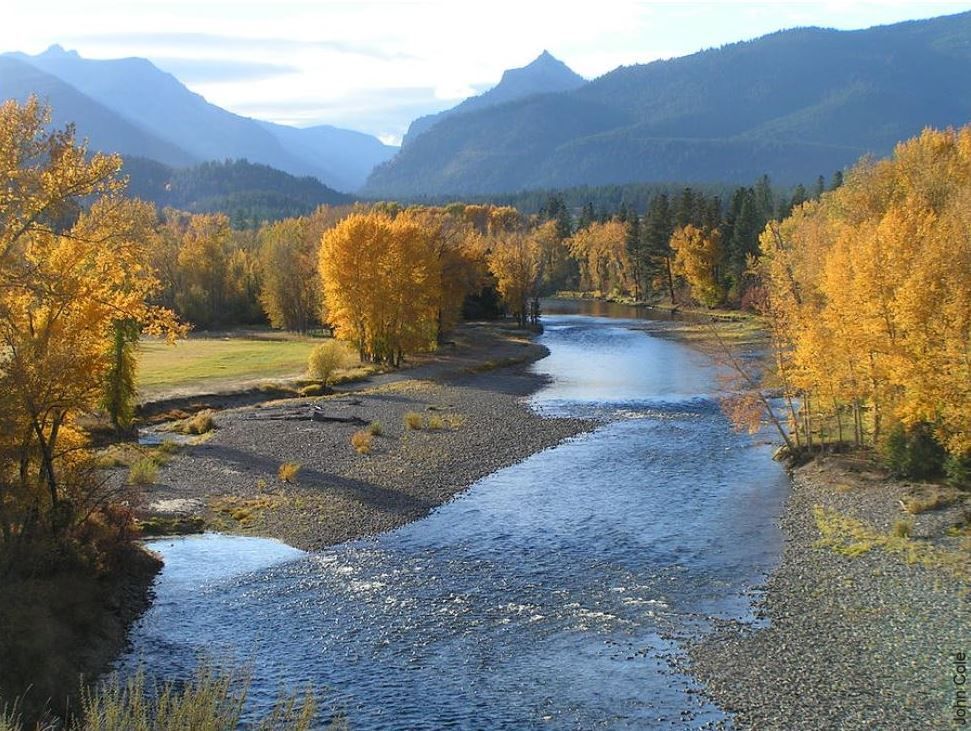 Fly Fishing Blue Ribbon Rivers