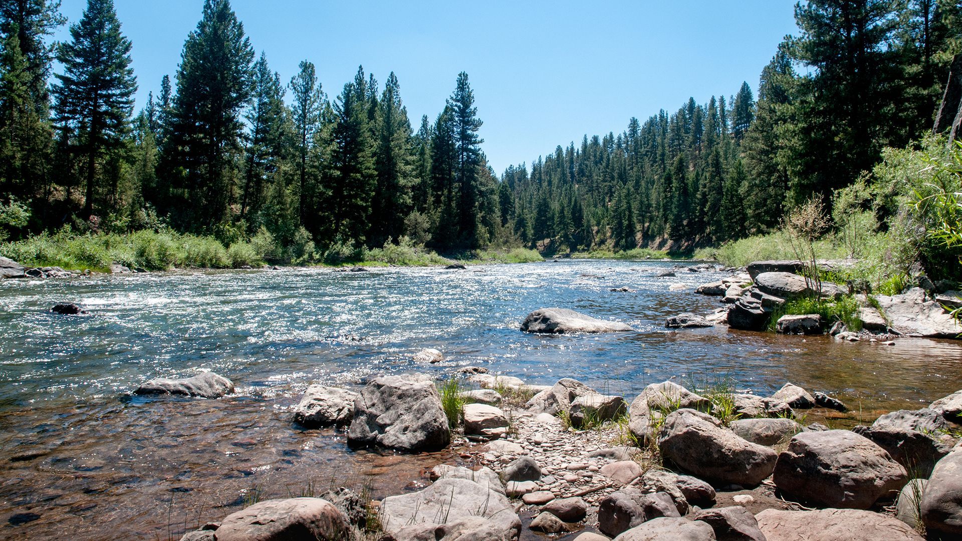 Blackfoot River