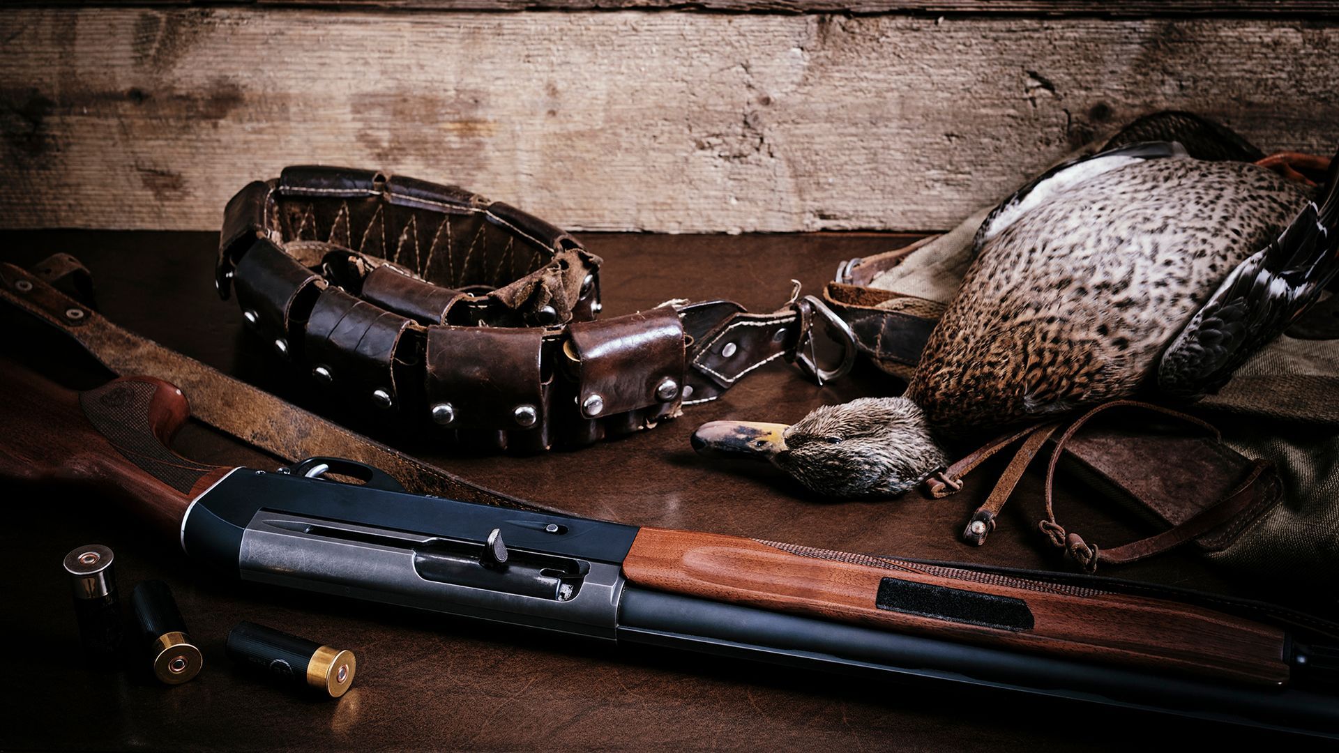 Duck and Goose Hunting Trip