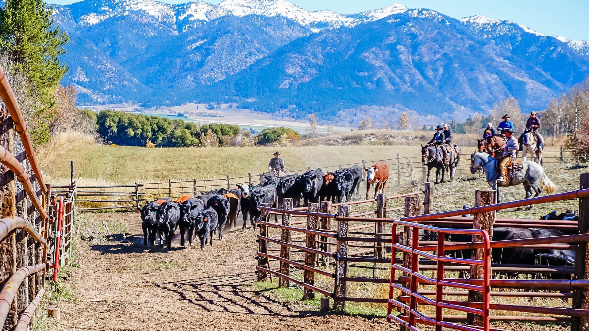 Dude Ranch Stay Near Glacier National Park