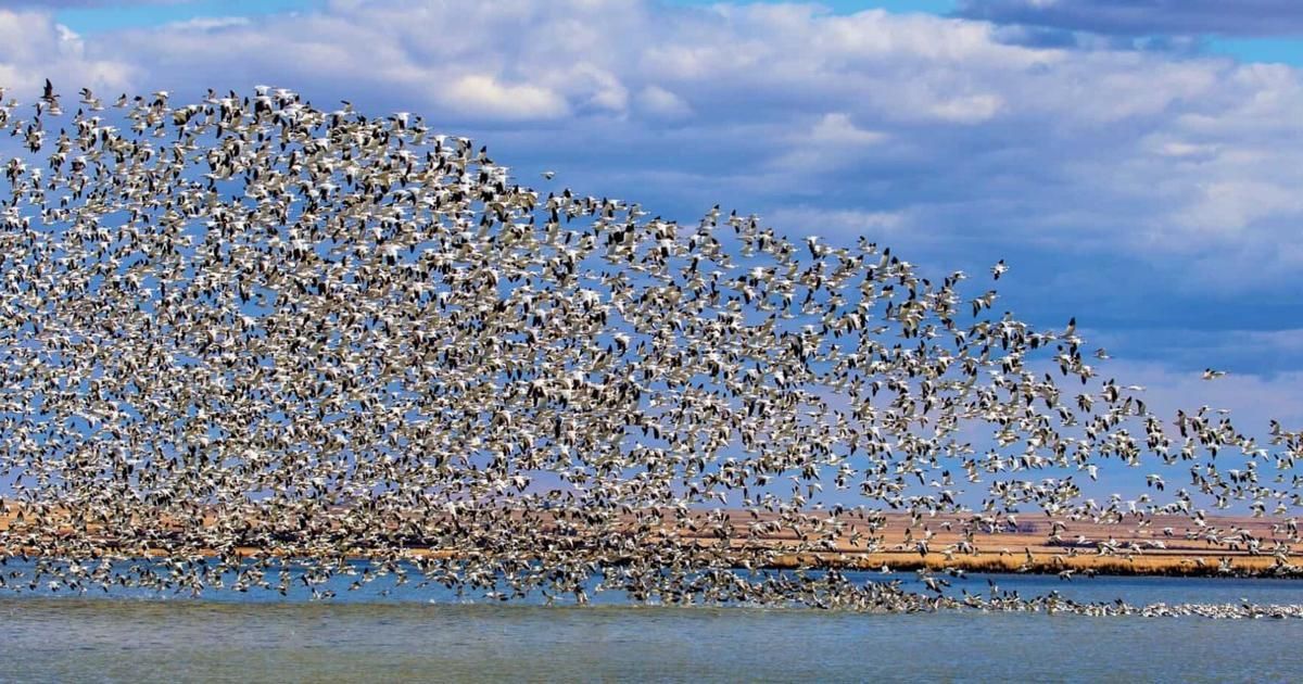 Freezeout Lake