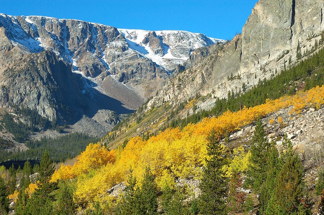 Gallatin National Forest