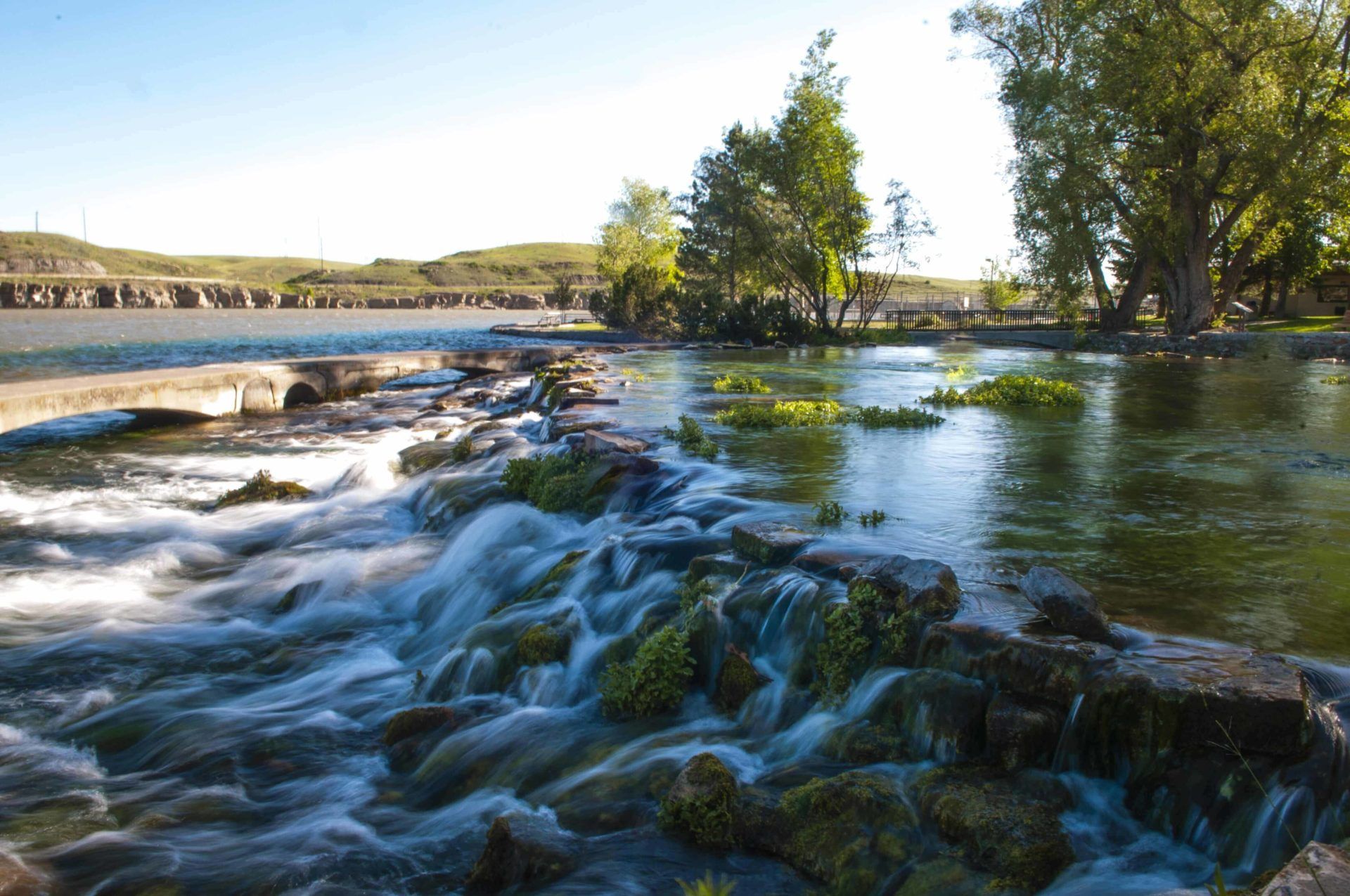 River rapids with rocks and trees under clear sunlight