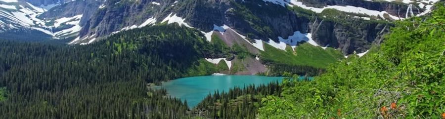 Turquoise alpine lake below snowy mountains and green forested slopes, with a lush hillside in the foreground