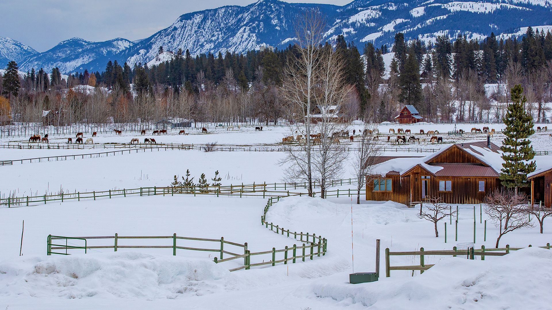 Winter Getaway at a Guest Ranch