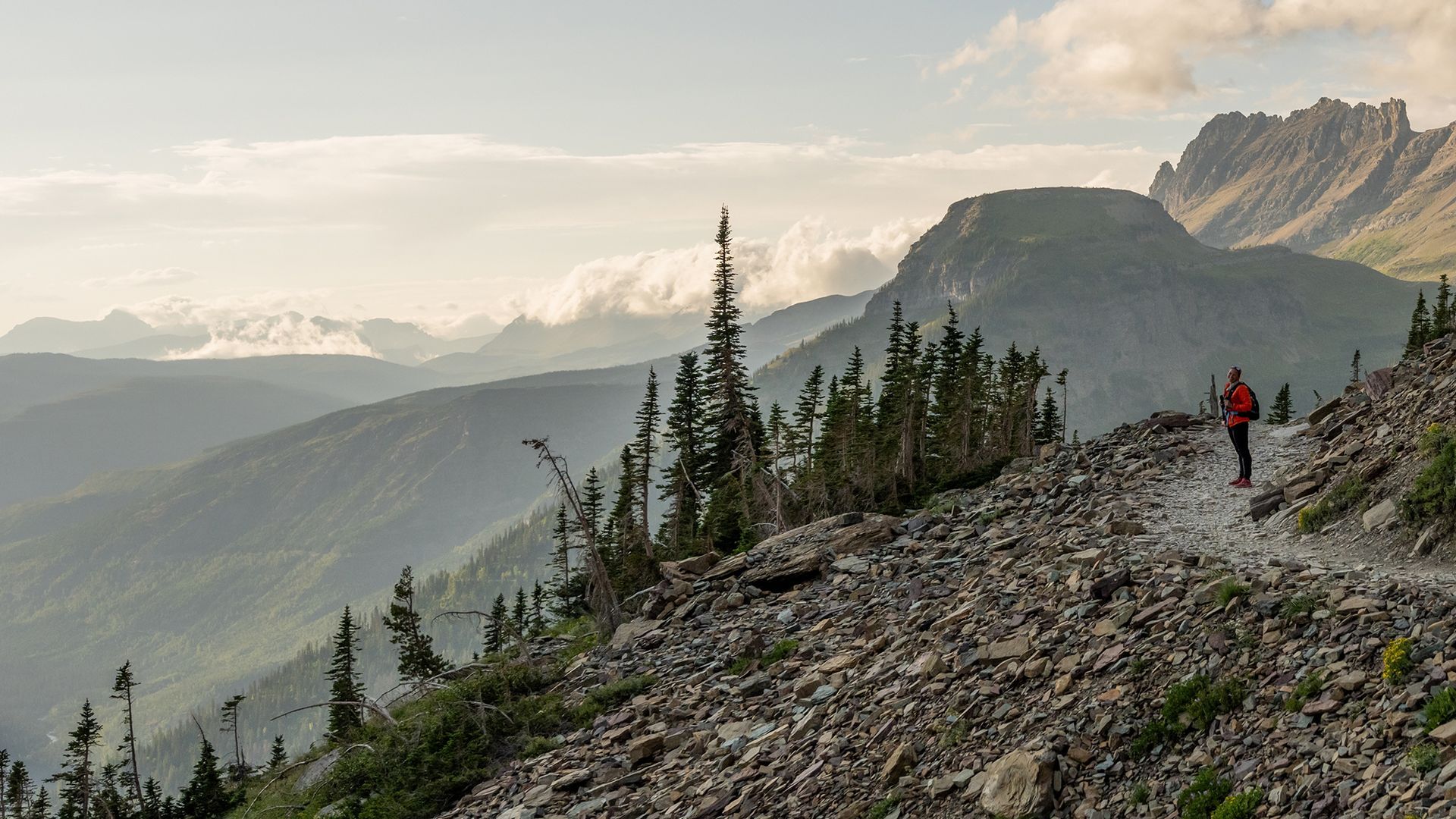 Guided Hike on the Highline Trail in GNP
