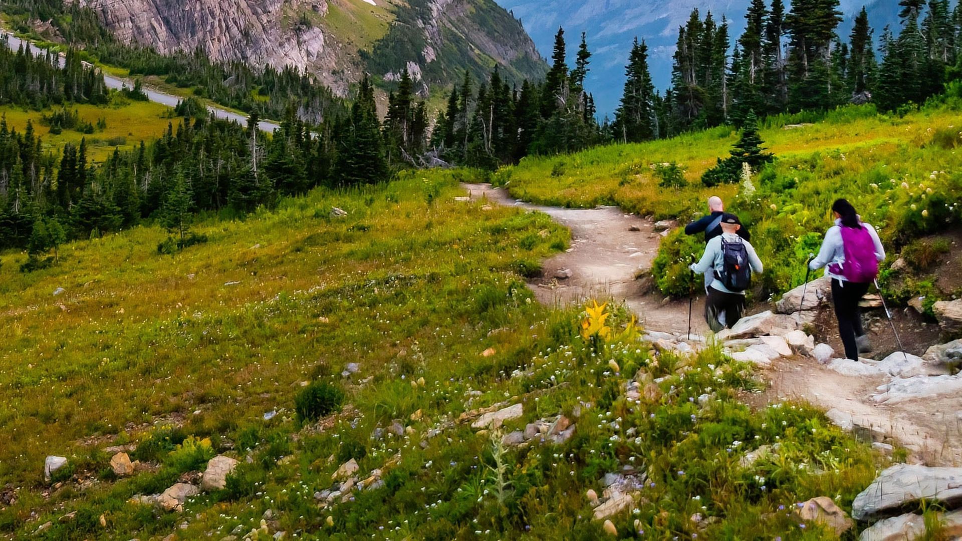 Two hikers resting on a rocky trail in a green alpine meadow with pine trees and mountains.