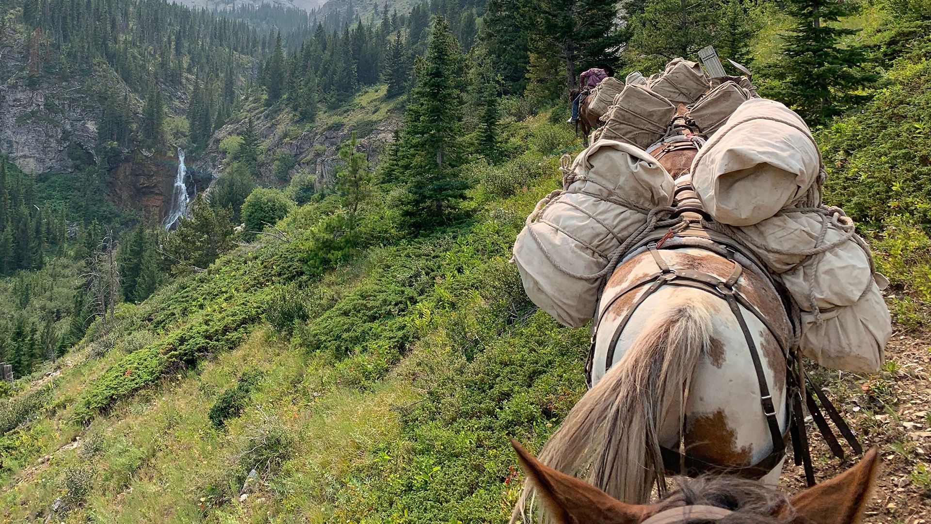 Horse Pack Trip