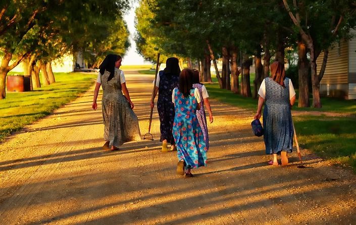 Five people walk away down a tree-lined path in warm evening light.