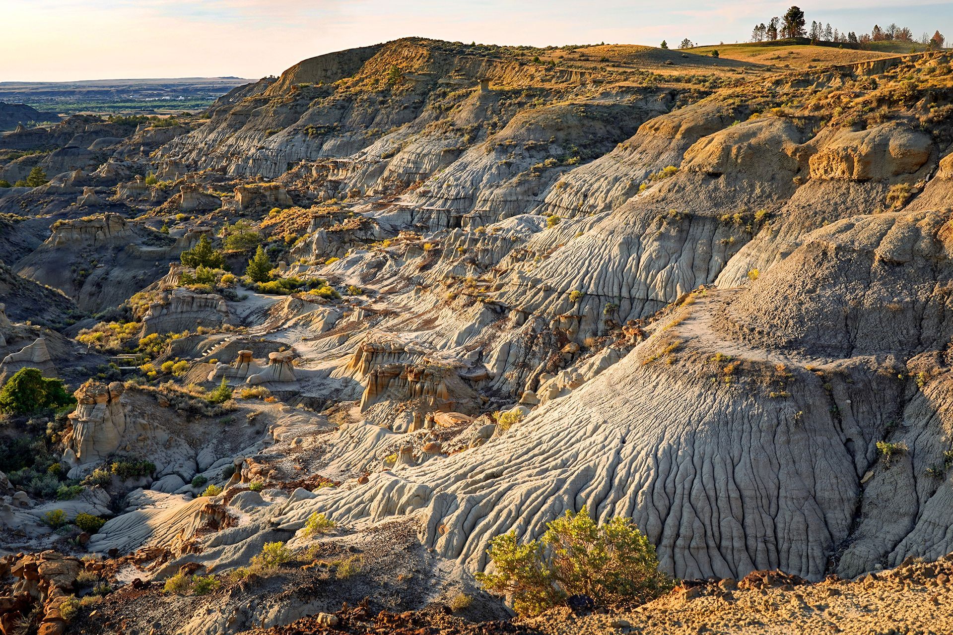 Rocky desert canyon with layered cliffs and sparse shrubs under a clear sky