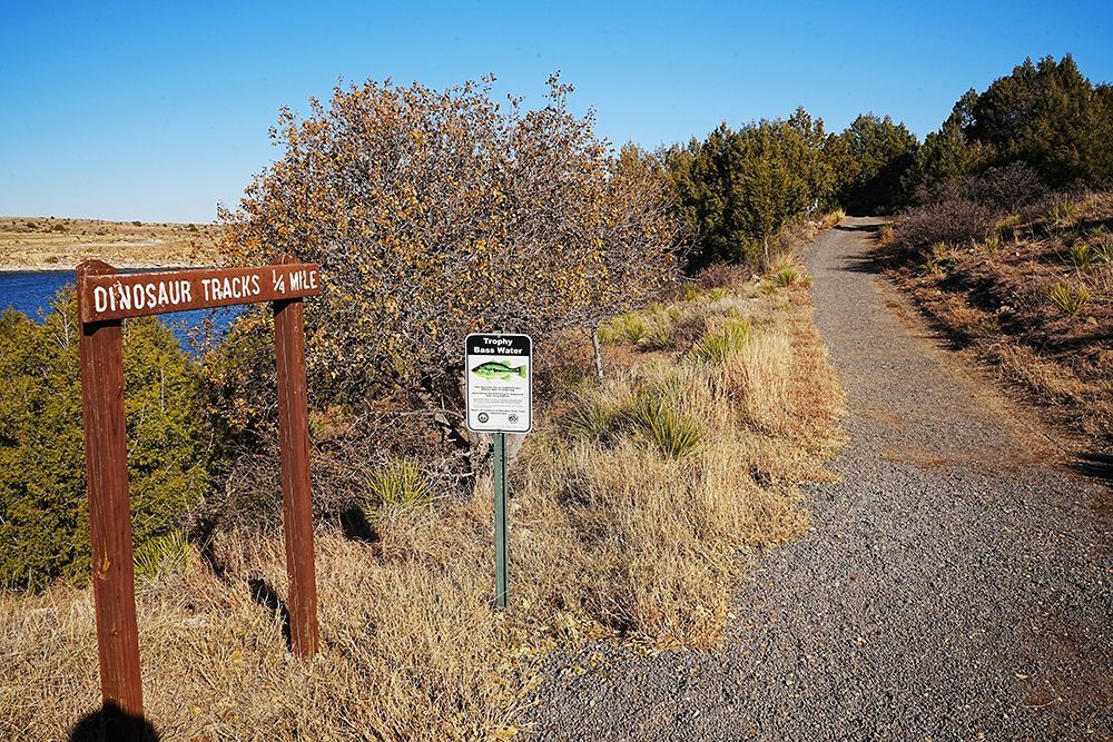Desert trailhead with wooden sign, gravel path, and dry shrubs under a clear sky