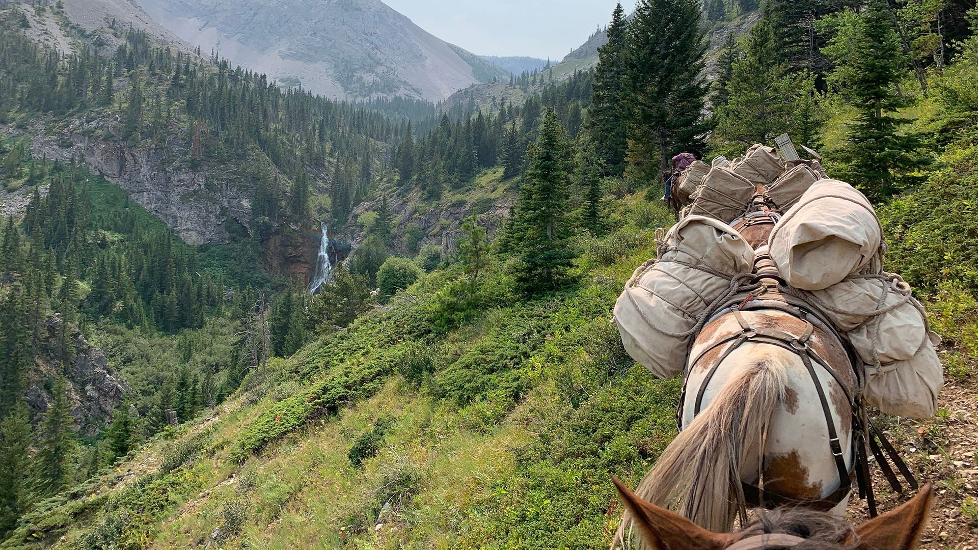 Montana Horse Pack Trips