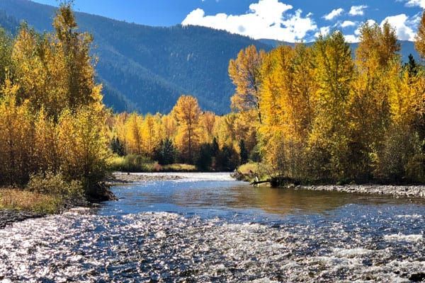 Rock Creek Montana