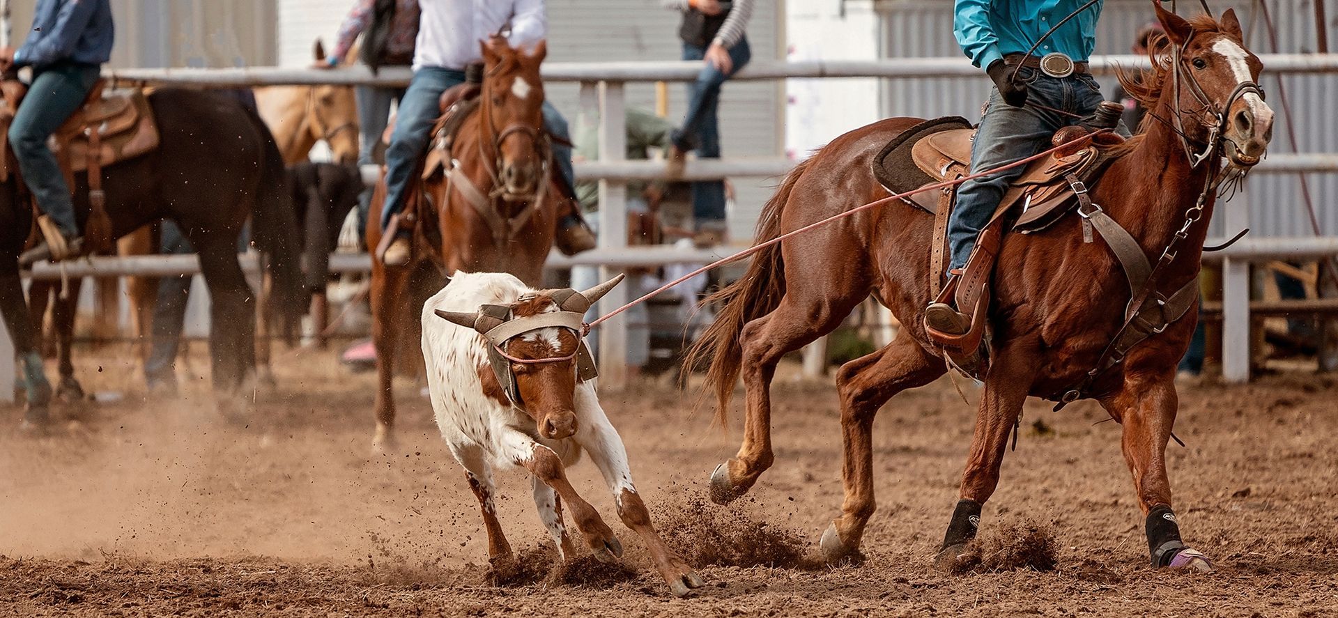 Rodeos