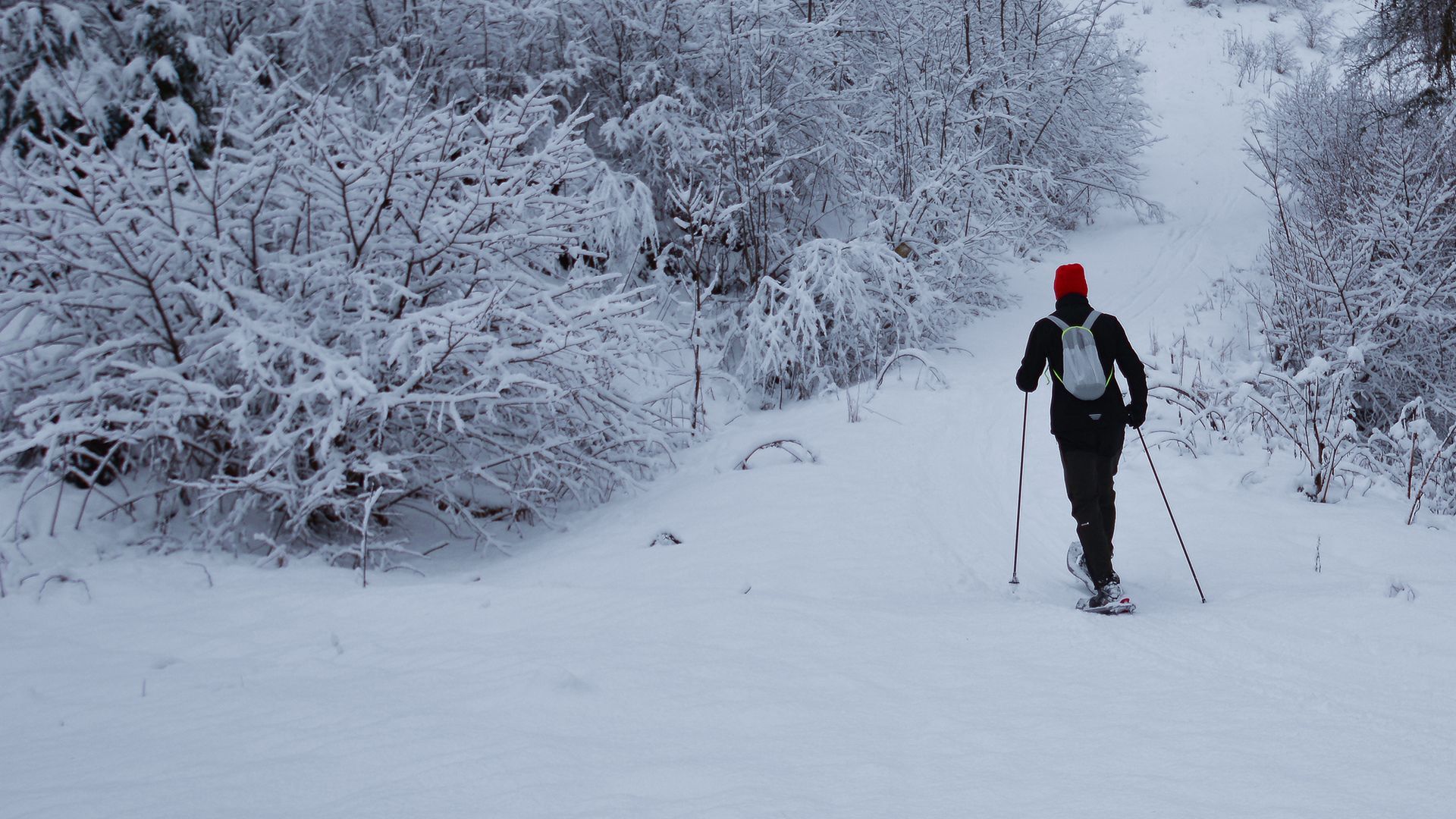 Nordic Skiing