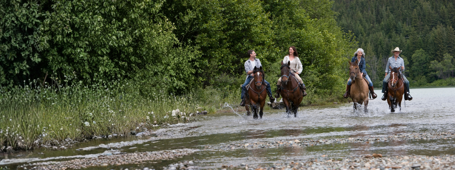Beartooth Mountain Horse Pack Trip