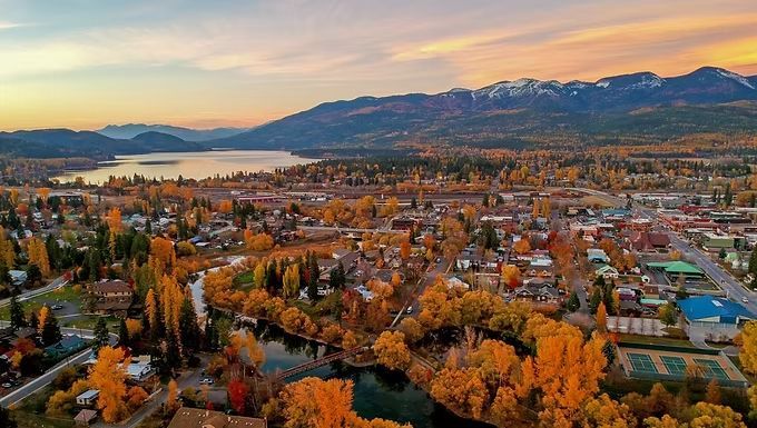 Whitefish
