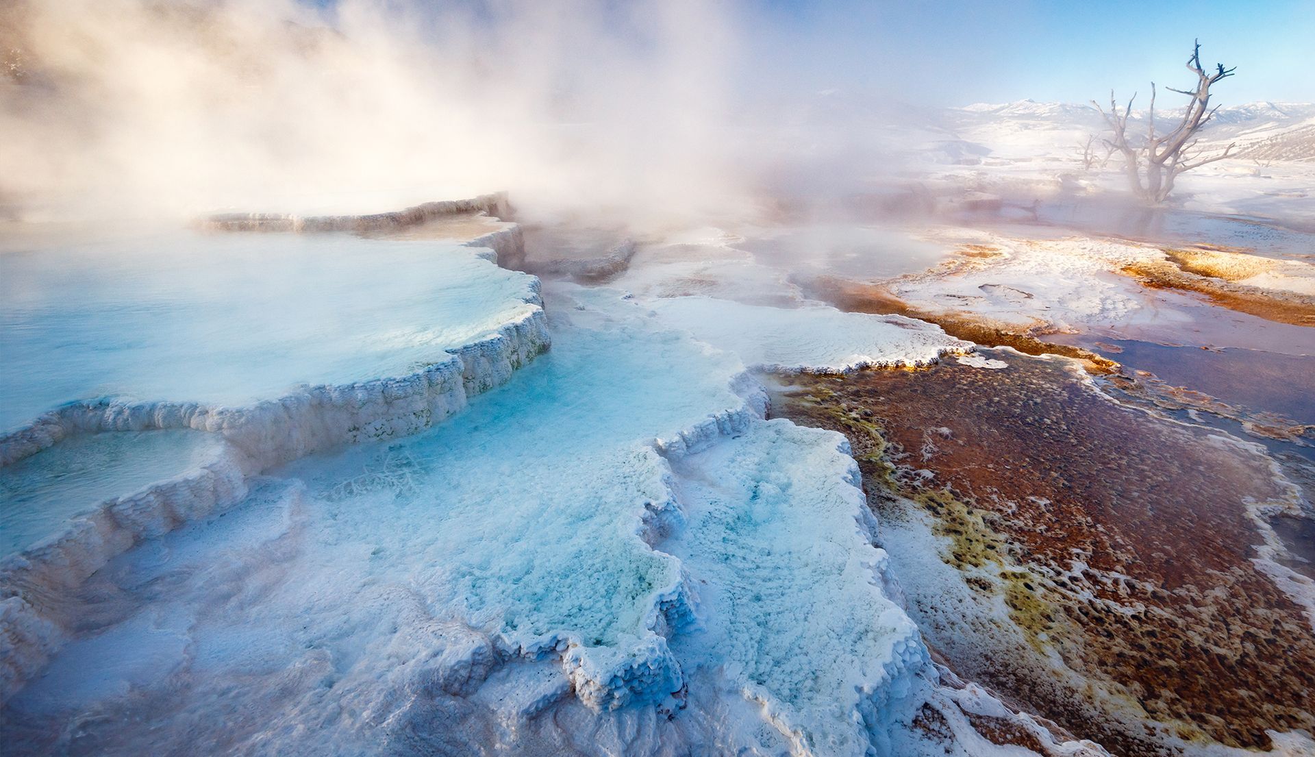 Snowy geothermal landscape with blue ice, steaming pools, and a lone tree under warm sunrise light