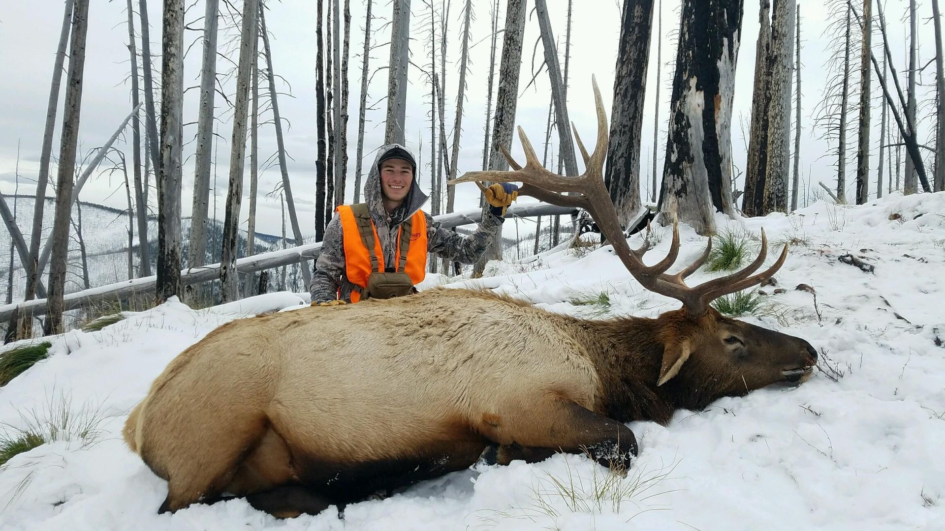 Big Game Hunting