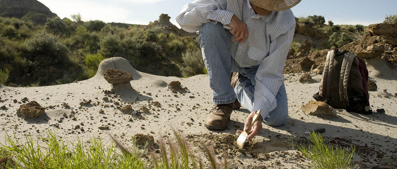 Montana Dinosaur Trail