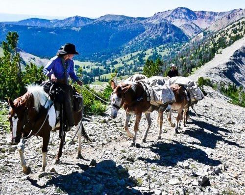 Horse Pack Trips