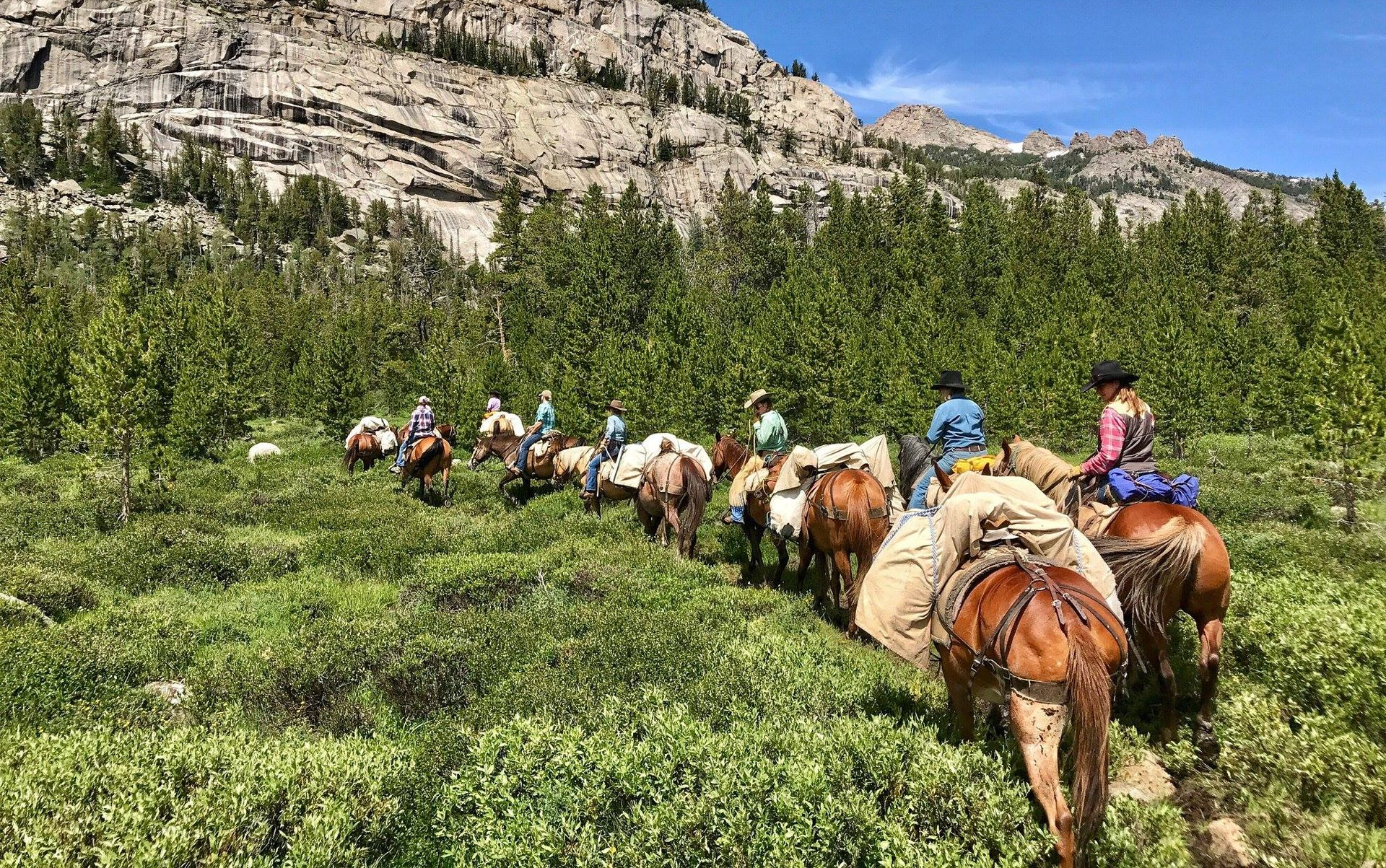 Horse Pack Trips