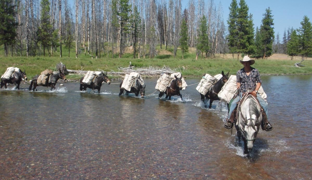 Absaroka-Beartooth Wilderness Pack Trips