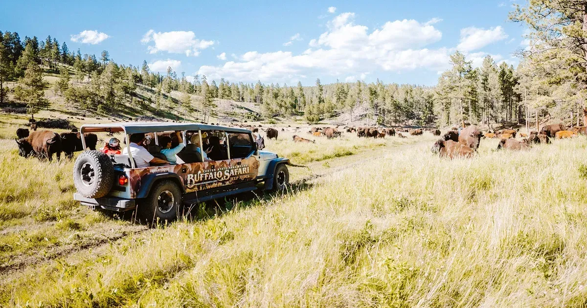 Jeep Tours