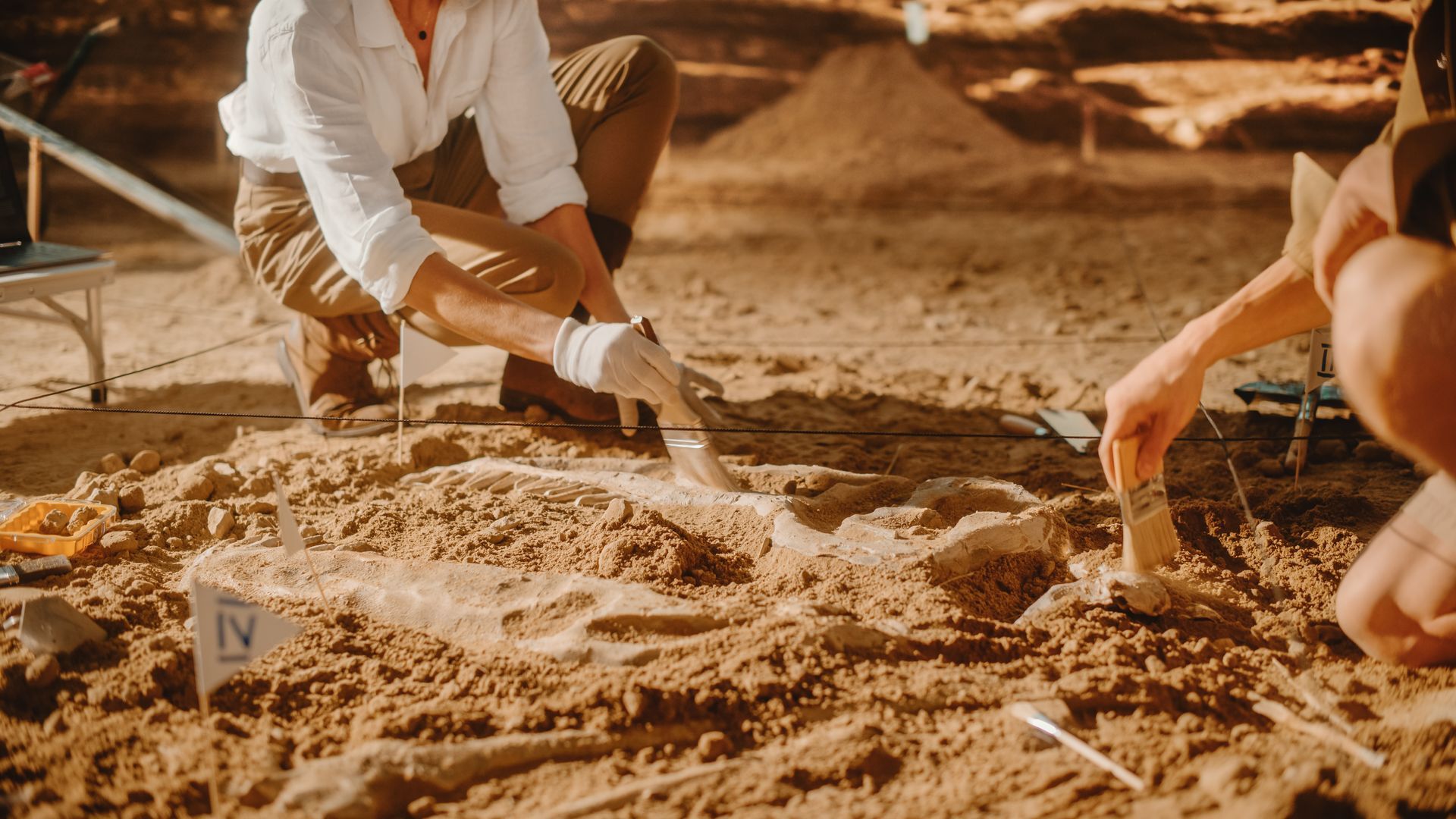 Dinosaur Dig Sites