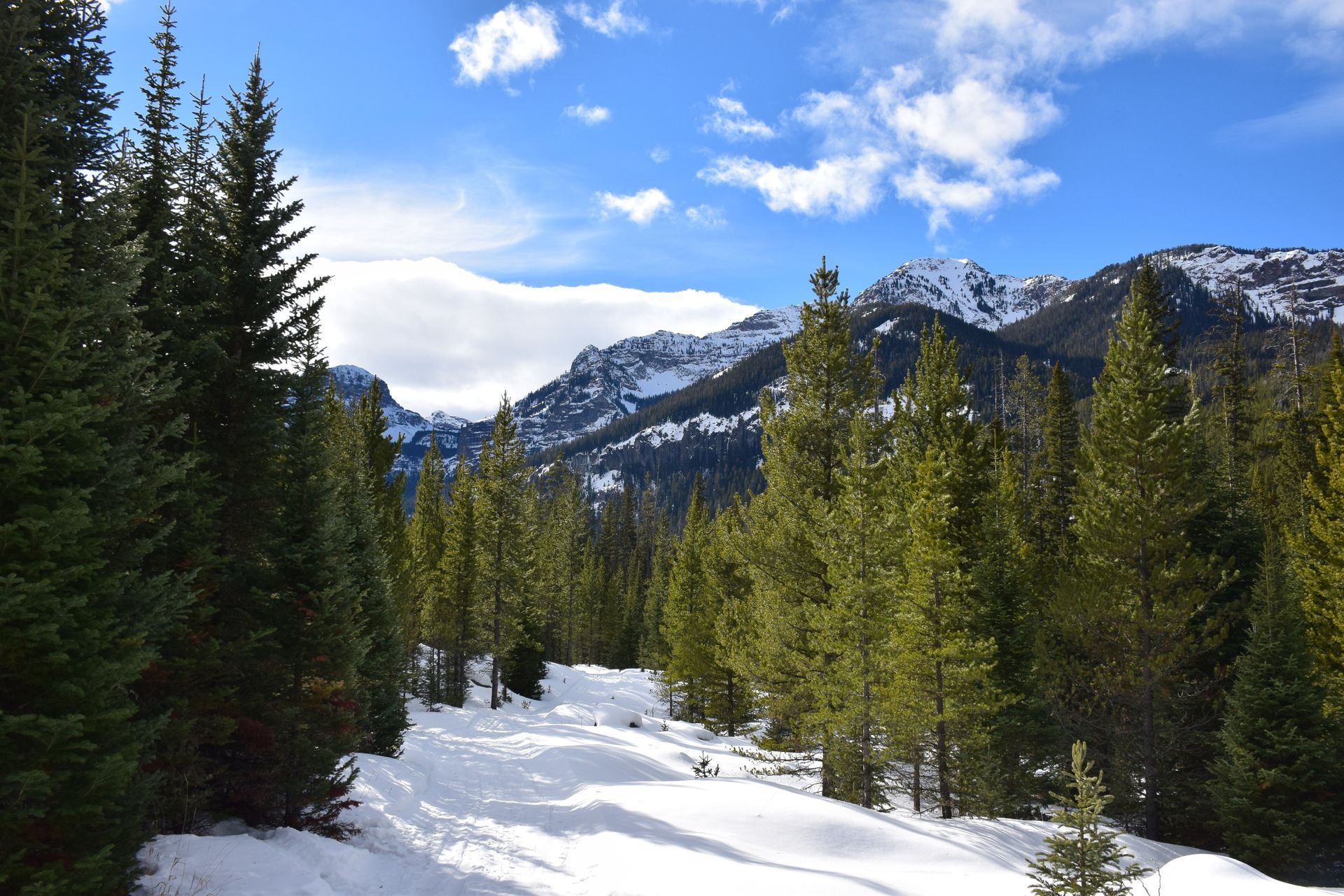 Yellowstone in Winter