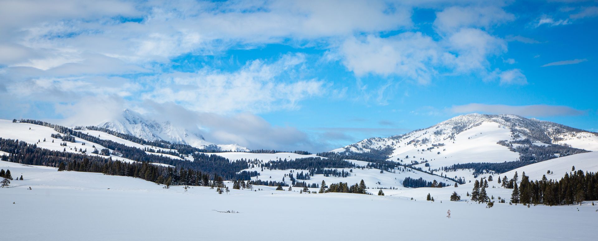 Yellowstone
