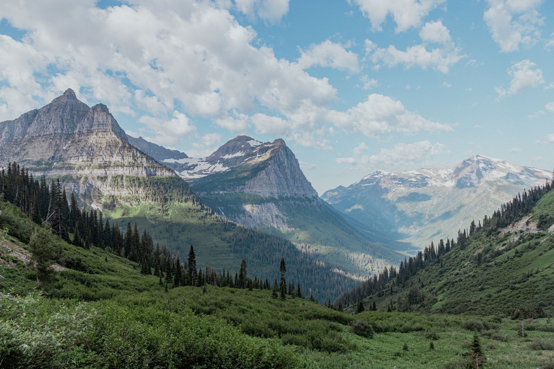 Scenic Montana