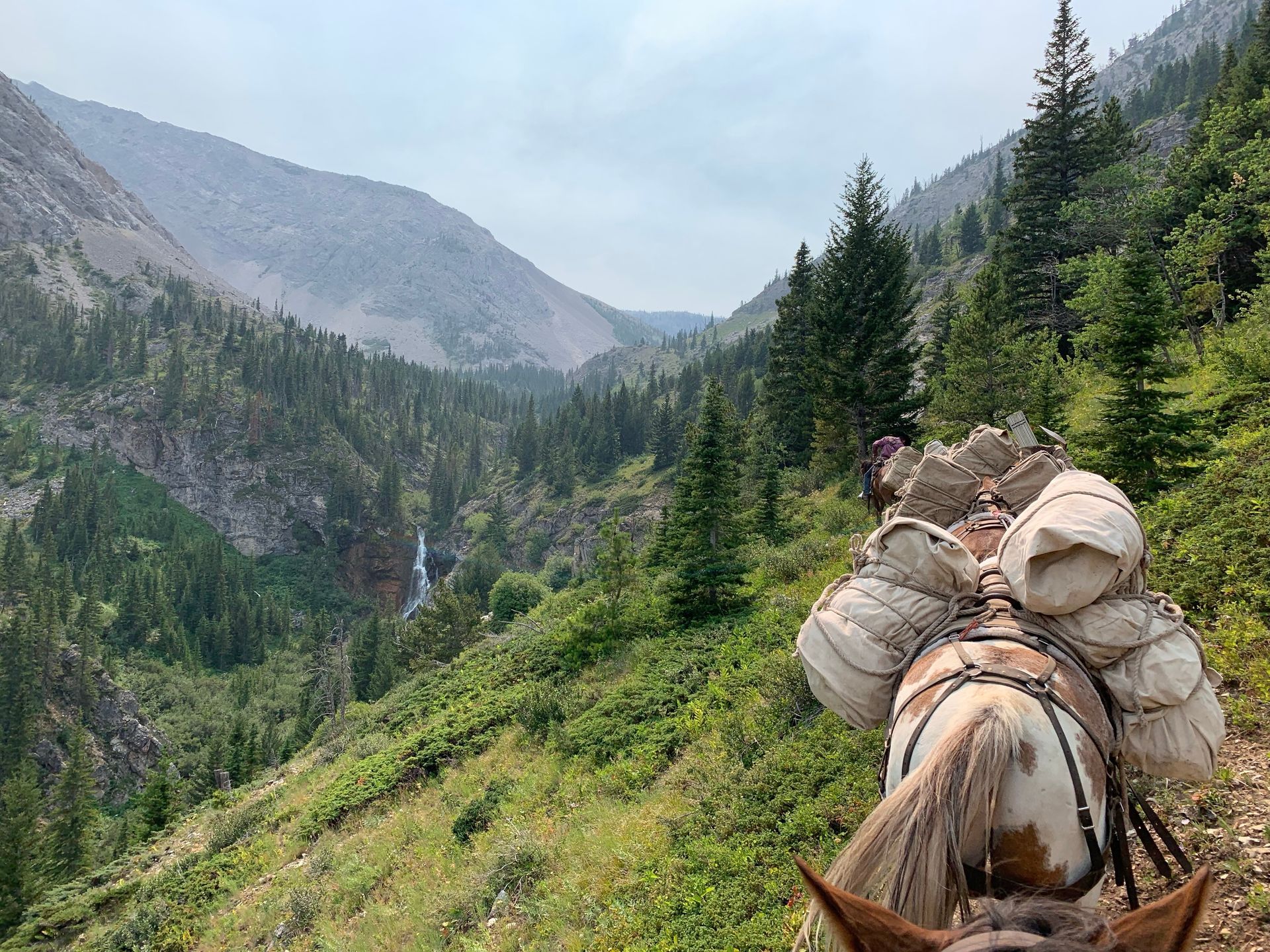 People horseback riding along a grassy mountain trail under a blue sky with clouds