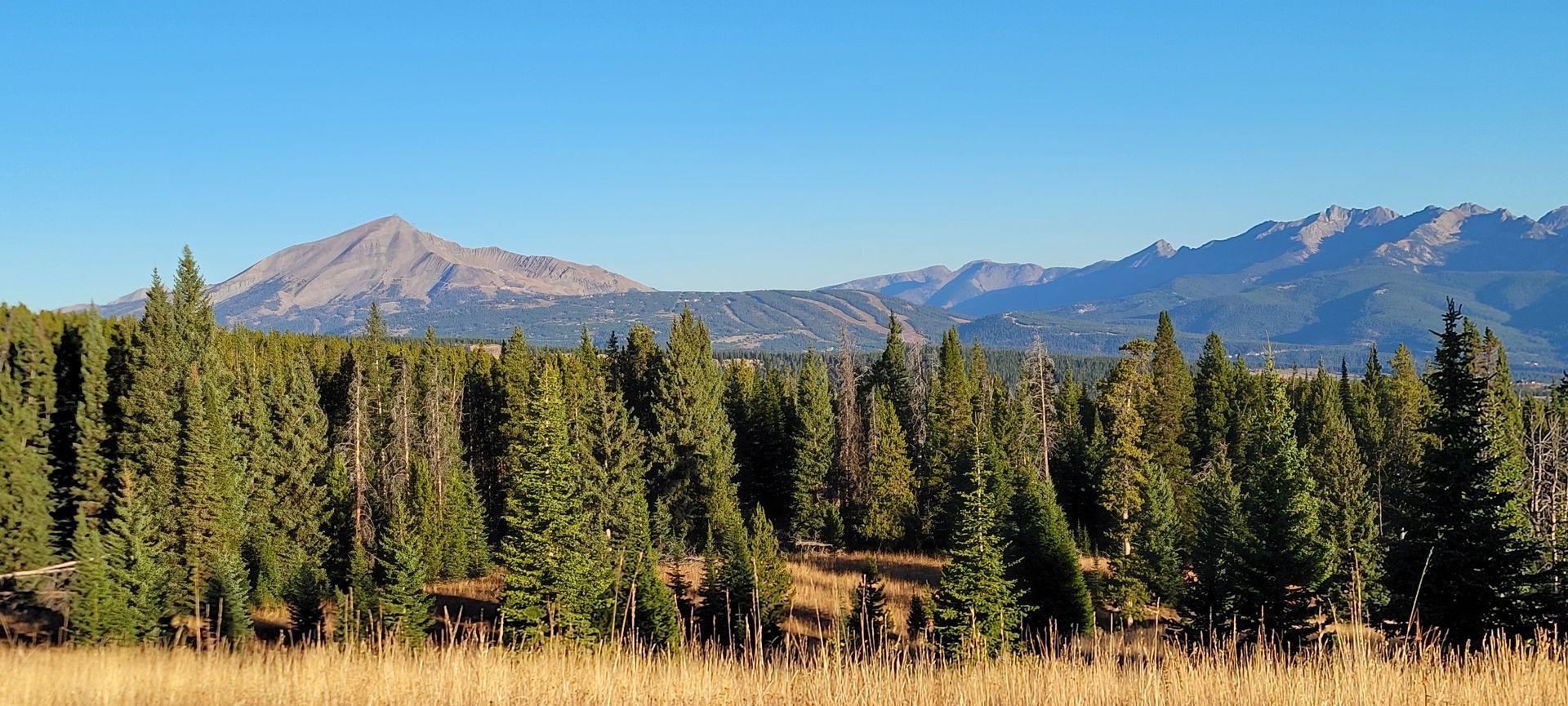 Yellowstone