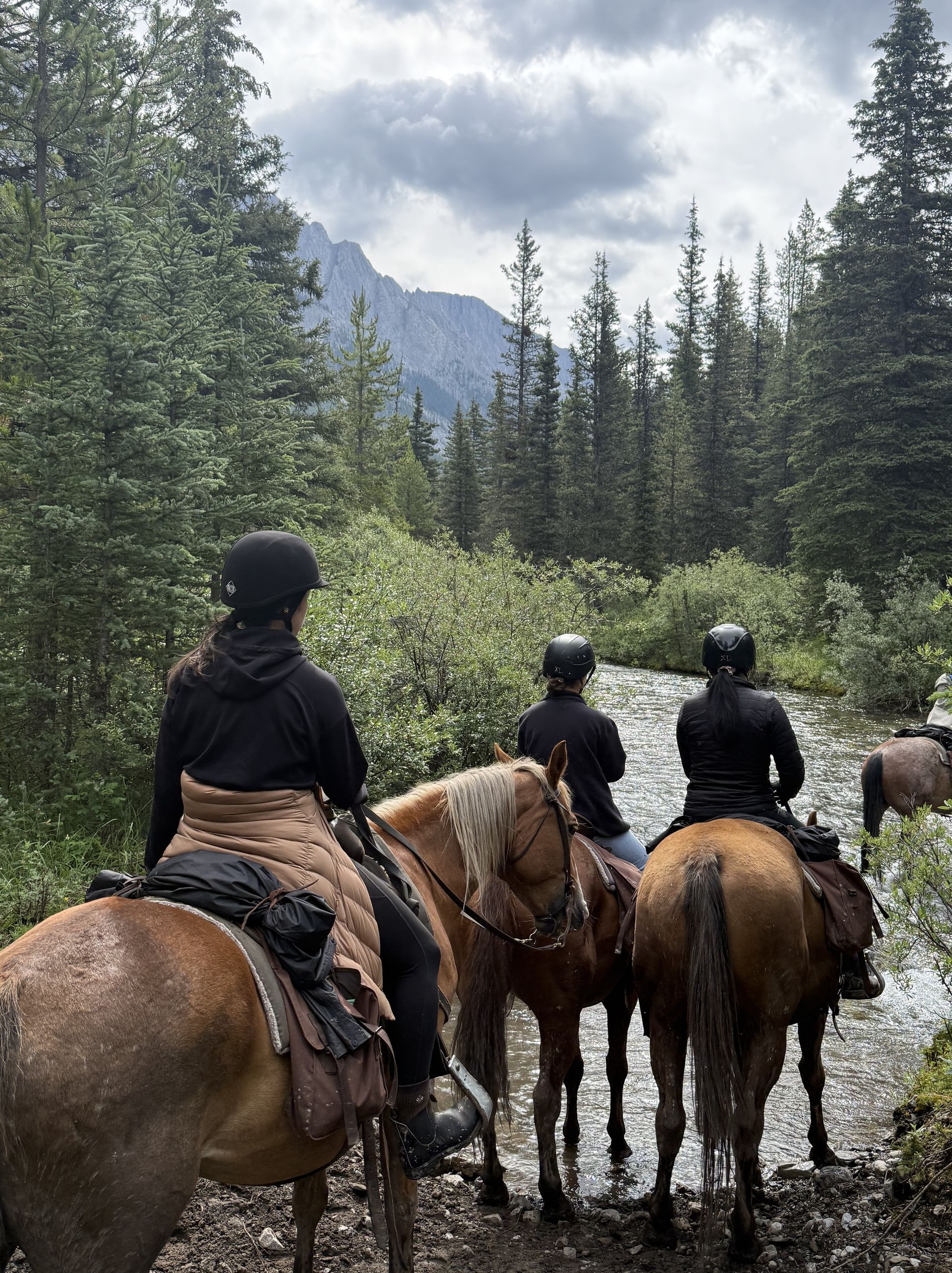 People horseback riding along a grassy mountain trail under a blue sky with clouds
