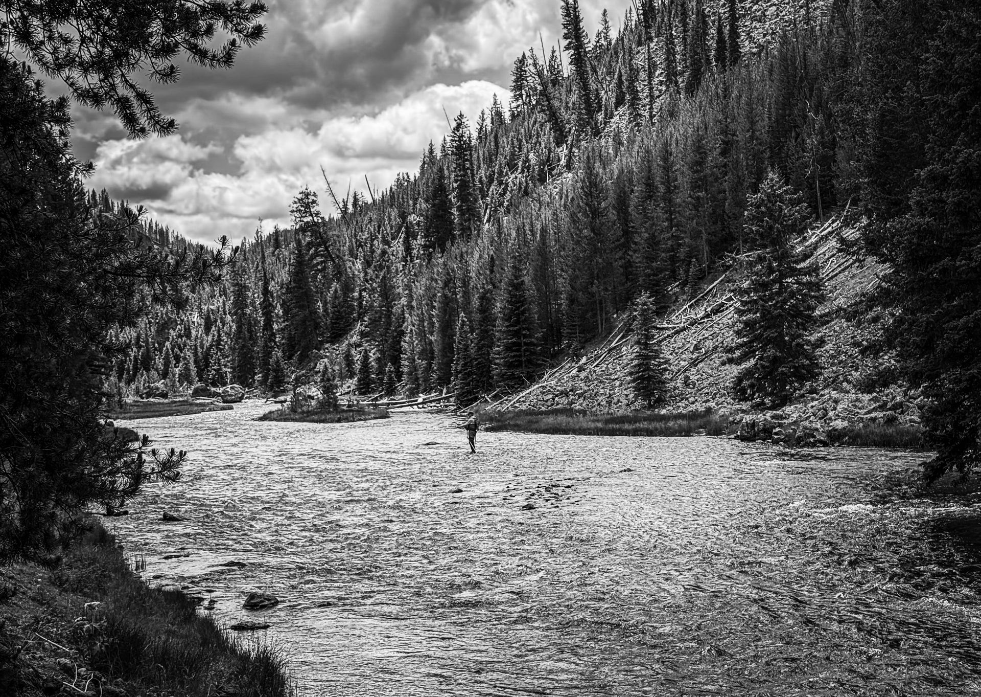 Fly Fishing