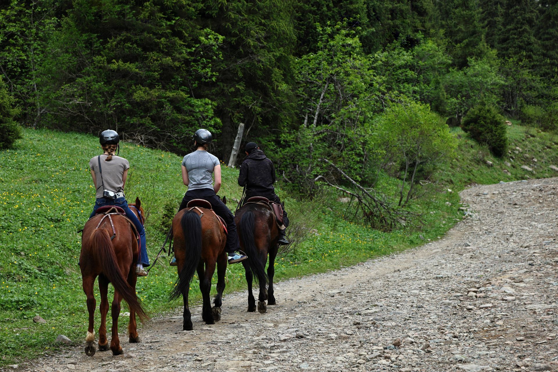 Guest Ranch Stay